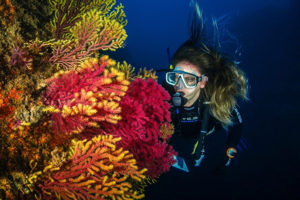 deep sea diving with coral photo by Juanma Clemente-Alloza